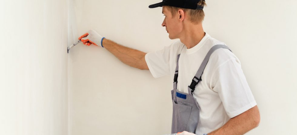 Maize Home Painting Services